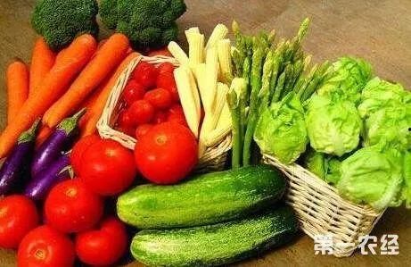 吃瓜网菜网红排行榜最新,盘点美食界新晋明星！”