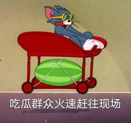 吃瓜网跷跷板,揭秘网络舆论风向标