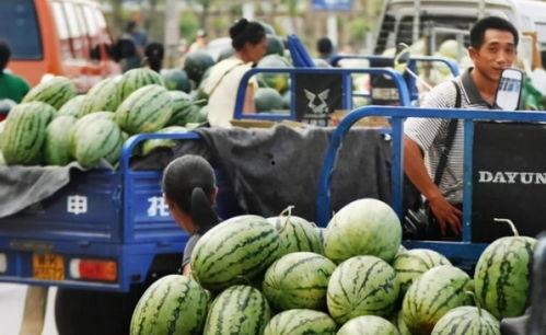 新疆男网红吃瓜爆料,揭秘娱乐圈幕后真相