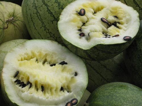 51cg6吃瓜群众网,揭秘娱乐圈幕后故事,带你领略真实娱乐圈