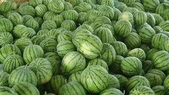 暗吃瓜网今日吃瓜,揭秘今日热门吃瓜事件,带你领略娱乐圈风云变幻