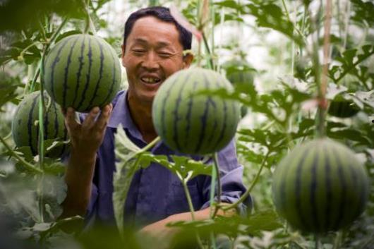 暗吃瓜网今日吃瓜,揭秘今日热门吃瓜事件,带你领略娱乐圈风云变幻