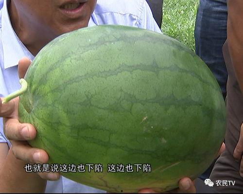 优质吃瓜网,优质吃瓜网带你畅游八卦盛宴