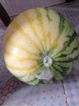 盐城网红吃瓜事件