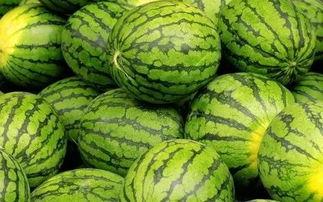 最新吃瓜官网,吃瓜官网独家爆料，明星幕后故事大公开！