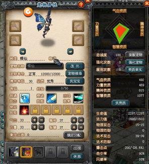 qq吃瓜群幻想世界官网,虚拟与现实交织的奇幻之旅