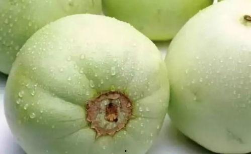 泉州网红吃瓜事件是真的吗