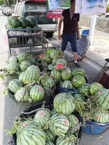 吃瓜网红事件聚集地