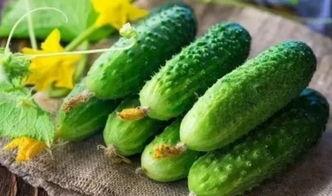 hlj爆料吃瓜网