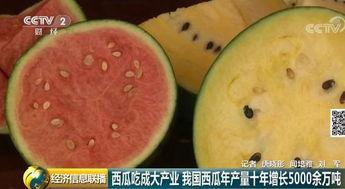 吃瓜网全球网