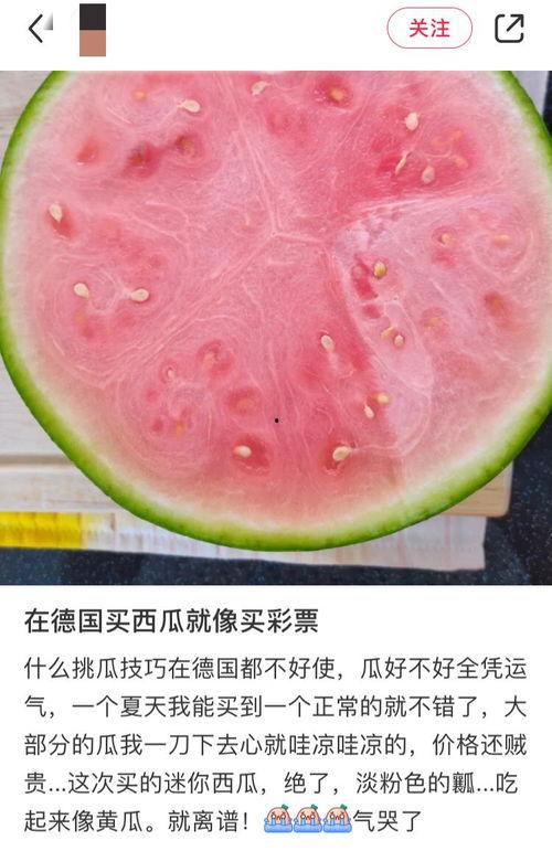吃瓜网全球网 第2张 吃瓜网全球网 第2张