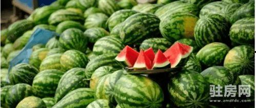 新郑市龙湖镇网红吃瓜,网红吃瓜盛地,探寻夏日消暑新风尚 第2张 新郑市龙湖镇网红吃瓜,网红吃瓜盛地,探寻夏日消暑新风尚 第2张