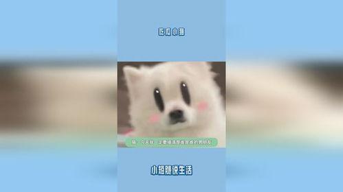 吃瓜网健身小猫,吃瓜网上的健身达人 第2张 吃瓜网健身小猫,吃瓜网上的健身达人 第2张
