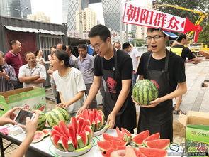 朝阳吃瓜群众网站官网,带你领略京城热点风云