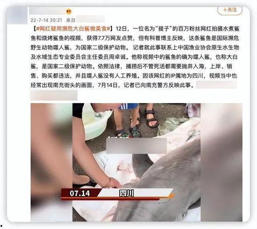 网红吃瓜主播是谁啊视频 第3张 网红吃瓜主播是谁啊视频 第3张